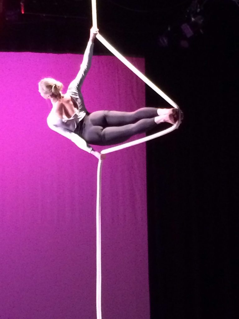 corde lisse, aerial rope, frequent flyers, aerial dance, gig
