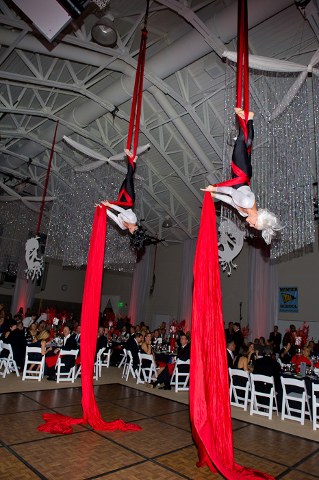 Frequent Flyers, Aerial Dance, Aerial Fabric, gig