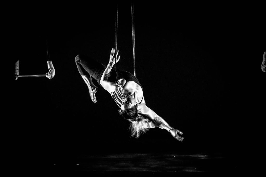 trapeze, black and white, bird, birdhouse, beauty, frequent flyers, aerial dance
