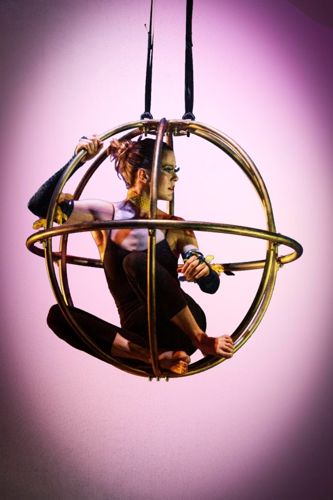 bird house, aerial sphere, invented, cage, bird, purple, frequent flyers, aerial dance